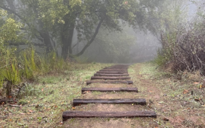 Take the First Step Toward Embracing Change