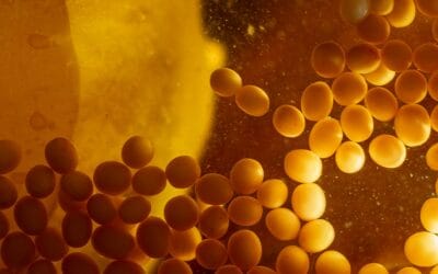 What Is Soy Lecithin — and Should You Be Eating It?